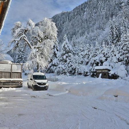 Appartement 6 Pers 70 M² Dans Chalet Chez Marie Montriond Kültér fotó