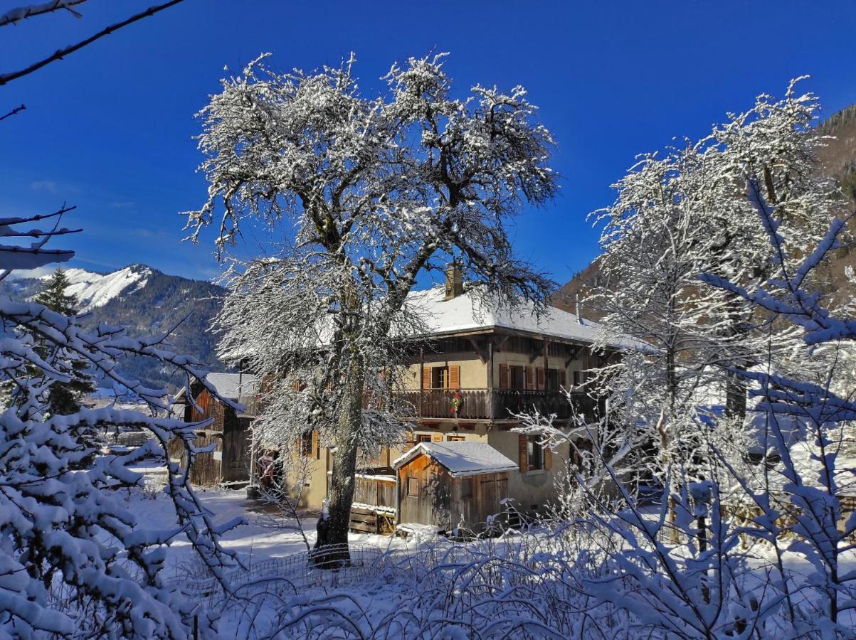 Appartement 6 Pers 70 M² Dans Chalet Chez Marie Montriond Kültér fotó